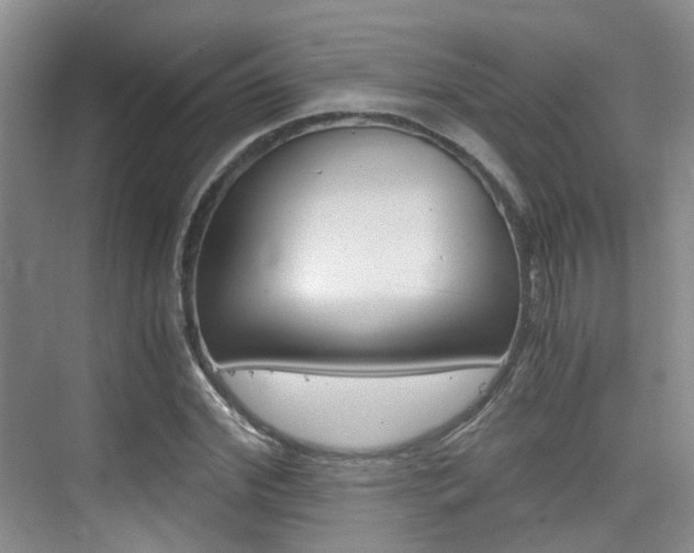 X0000076030972200609220848