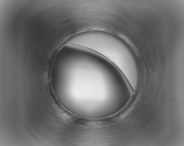 X0000076030977200609220848