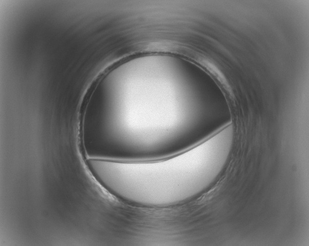 X0000076030992200609220848