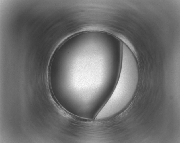X0000076030996200609220848