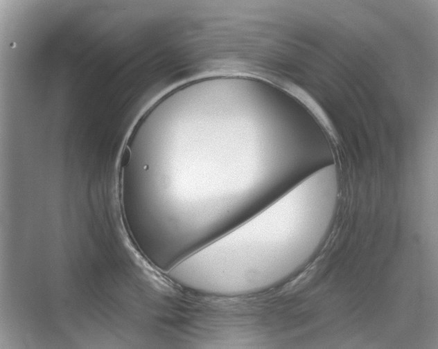 X0000076031004200609220848