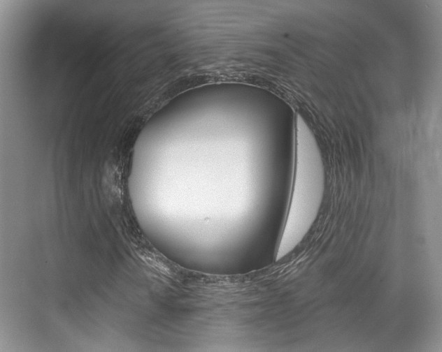 X0000076031010200609220847