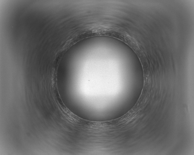 X0000076031012200609220847