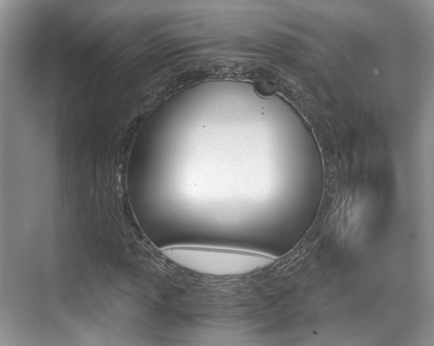 X0000076031013200609220847