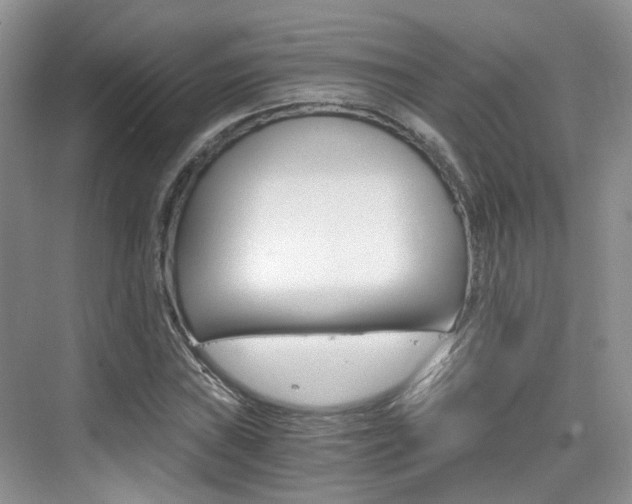 X0000076031019200609220847