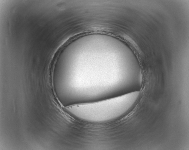 X0000076031023200609220847