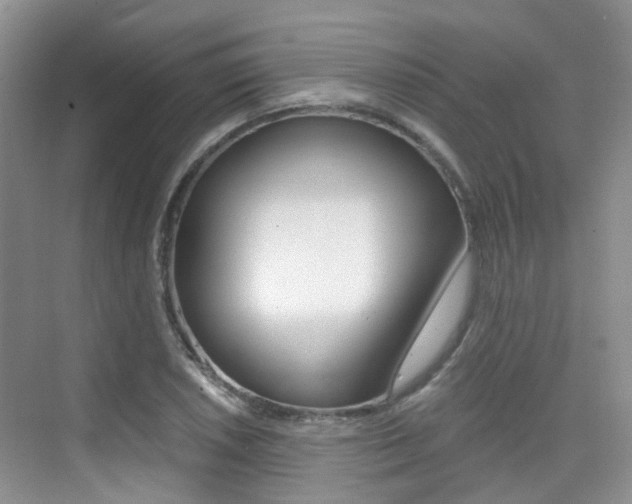 X0000076031026200609220847
