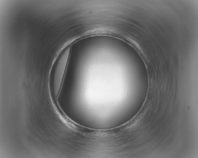 X0000076031034200609220847