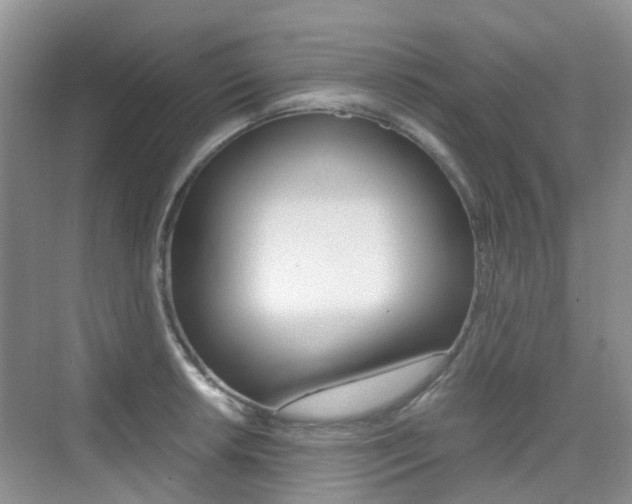 X0000076031042200609220847