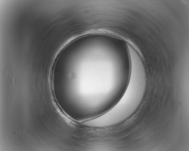 X0000076031054200609220848