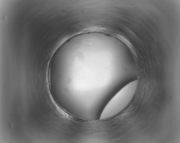X0000076031055200609220848