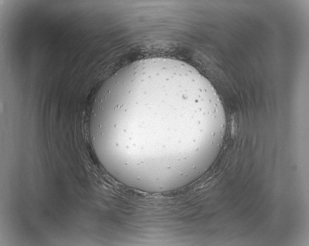 X0000076031059200609220847