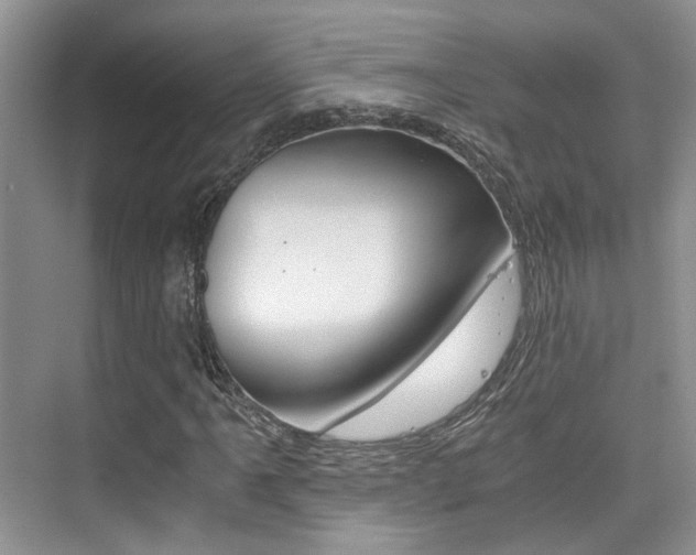 X0000076031061200609220847