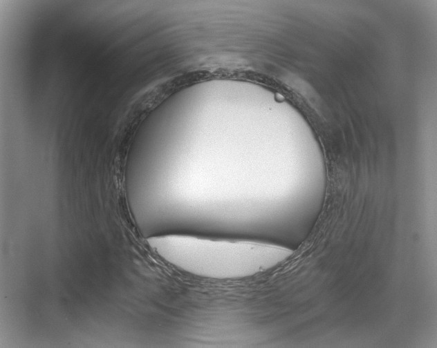 X0000076031063200609220847