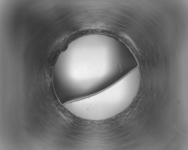 X0000076031064200609220847