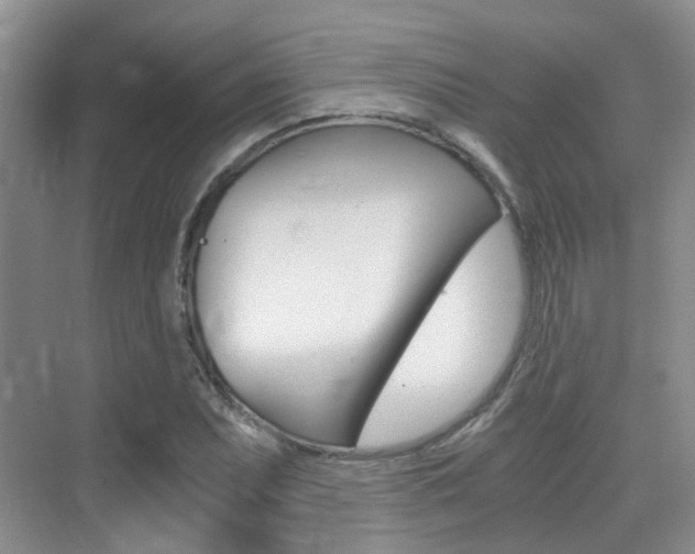 X0000076031071200609220847