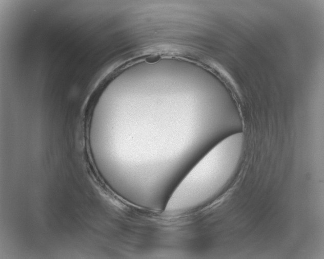 X0000076031075200609220847