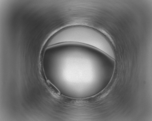 X0000076031077200609220847
