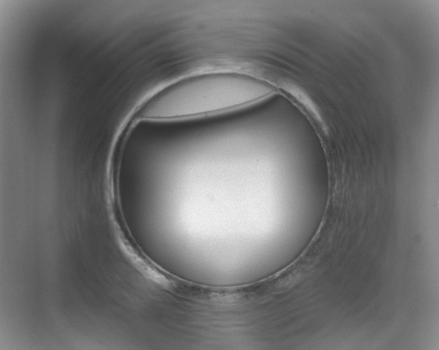 X0000076031080200609220847