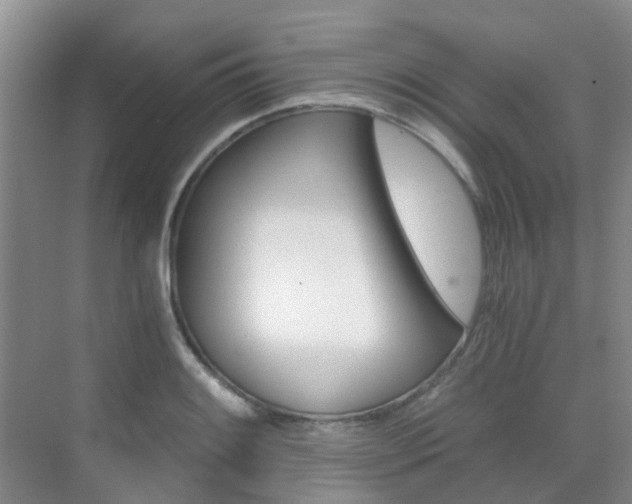 X0000076031084200609220846