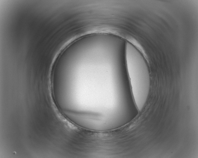 X0000076031088200609220846