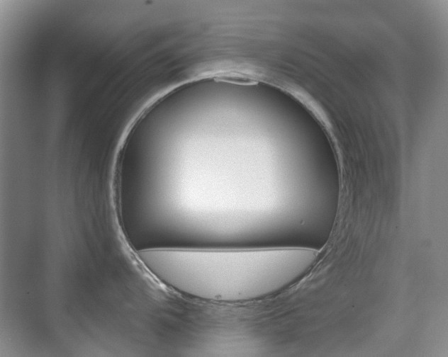 X0000076031104200609220846
