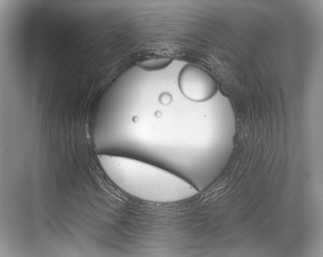 X0000076031106200609220845