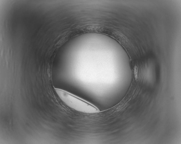 X0000076031107200609220845