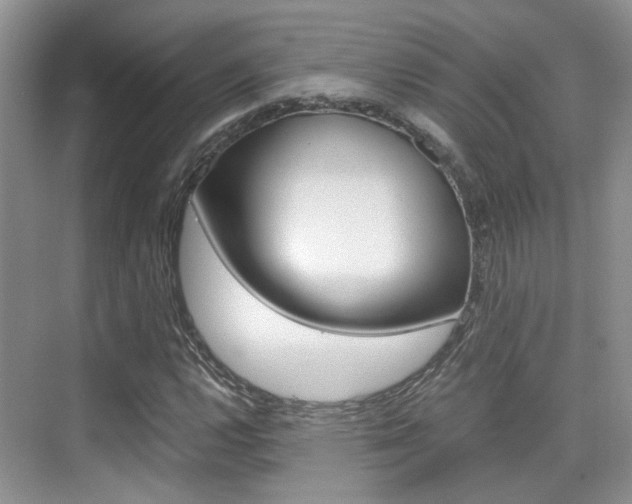 X0000076031112200609220845