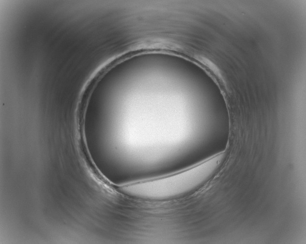 X0000076031120200609220846