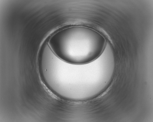X0000076031122200609220846