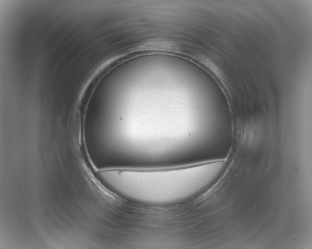X0000076031123200609220846