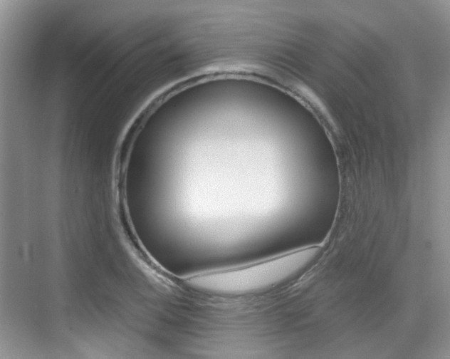 X0000076031124200609220846
