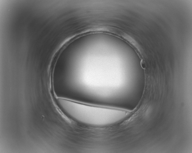 X0000076031127200609220846