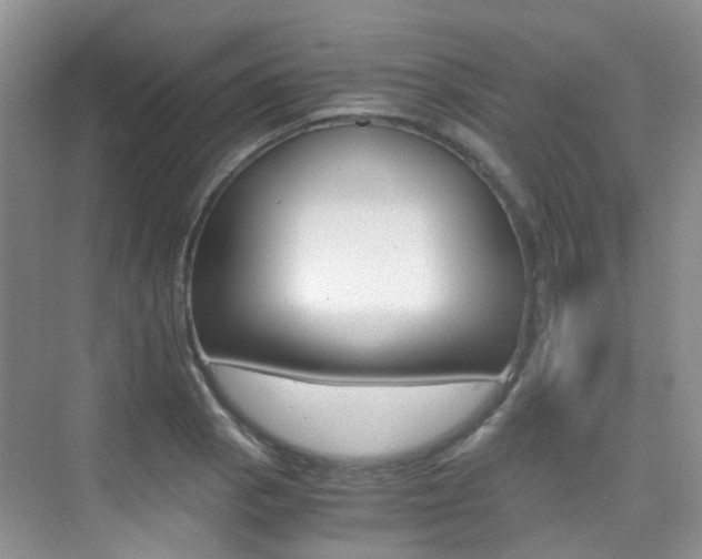 X0000076031129200609220846