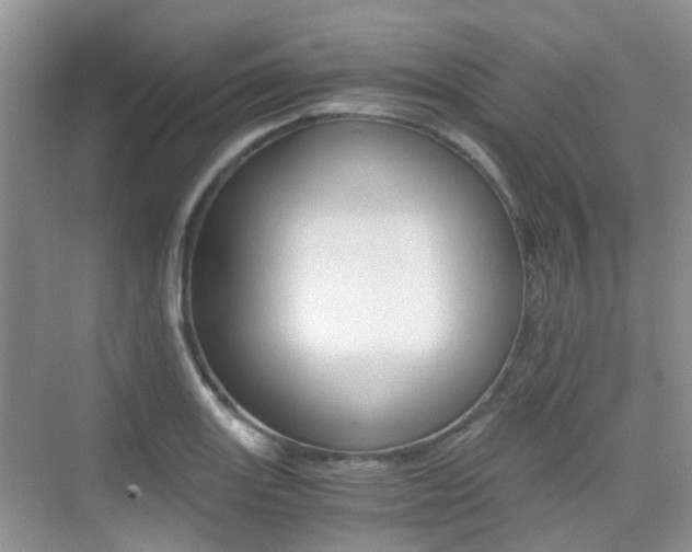 X0000076031131200609220846
