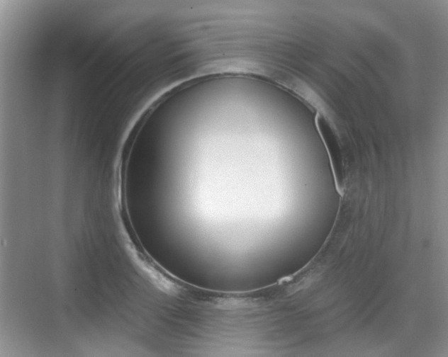 X0000076031132200609220846