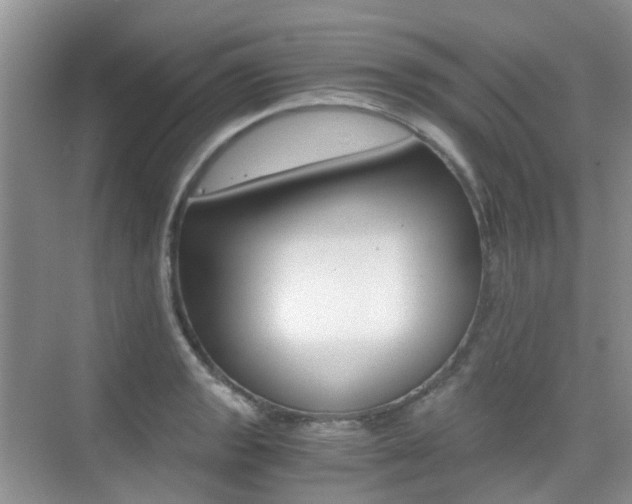 X0000076031133200609220846