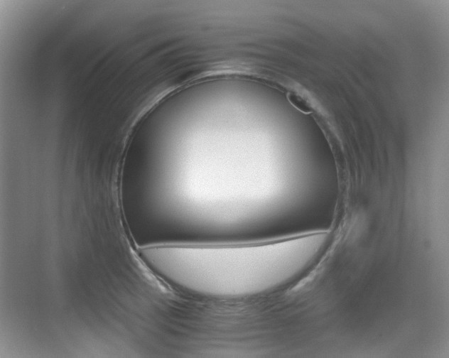 X0000076031137200609220846