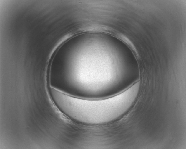 X0000076031138200609220846