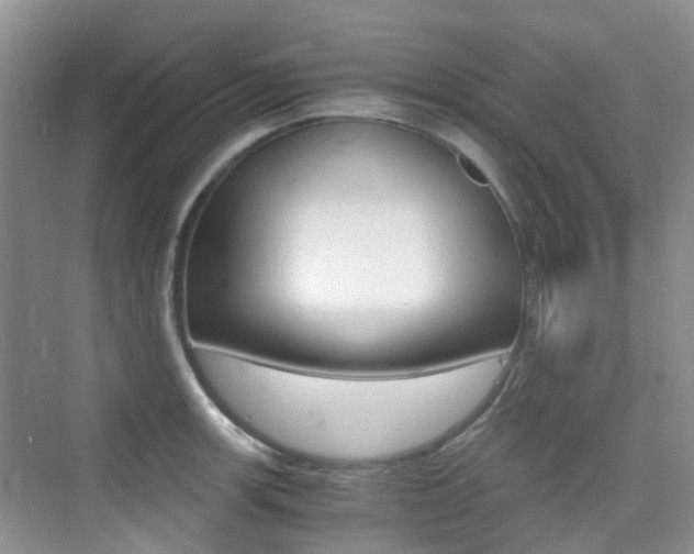 X0000076031139200609220846