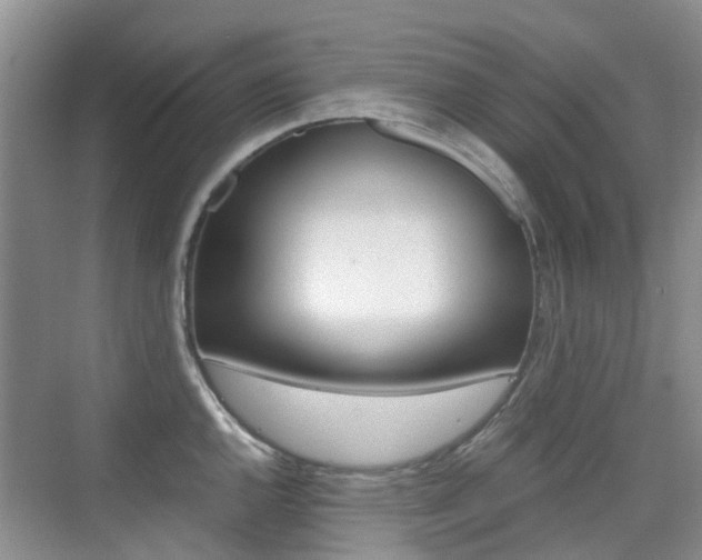 X0000076031144200609220846