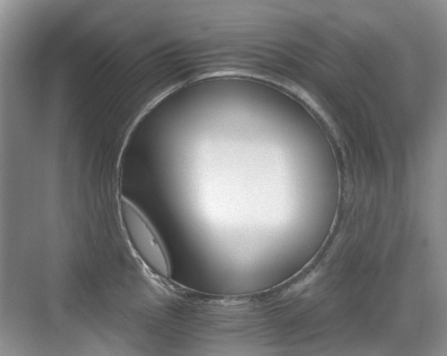 X0000076031145200609220846