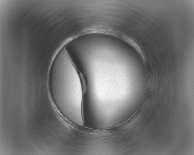 X0000076031146200609220846
