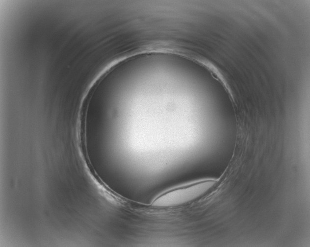 X0000076031147200609220846