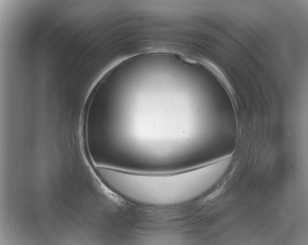 X0000076031149200609220846