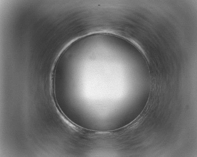 X0000076031151200609220846