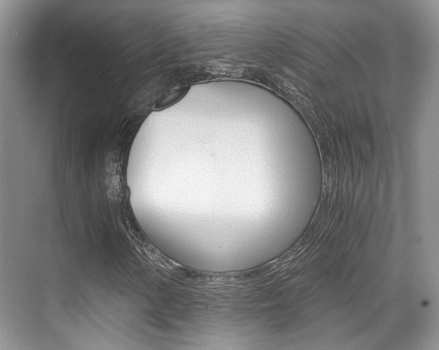 X0000076031154200609220845
