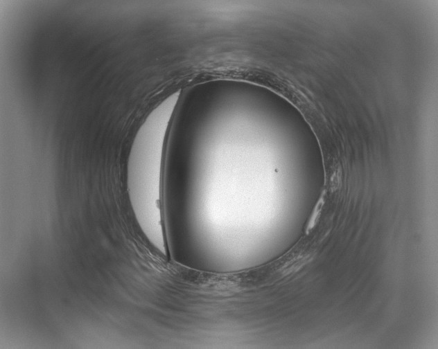 X0000076031156200609220845