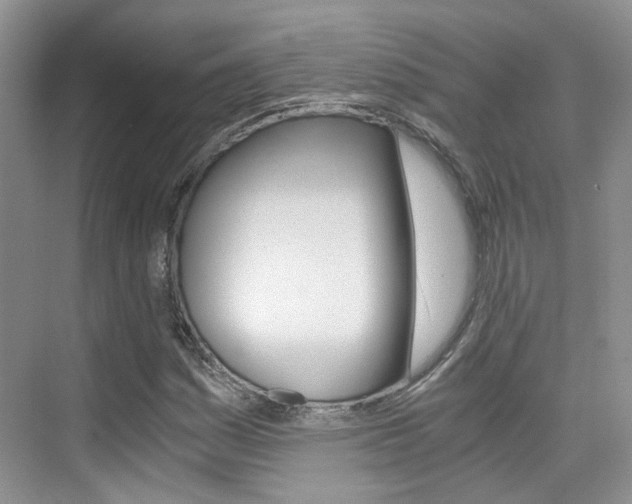 X0000076031161200609220845
